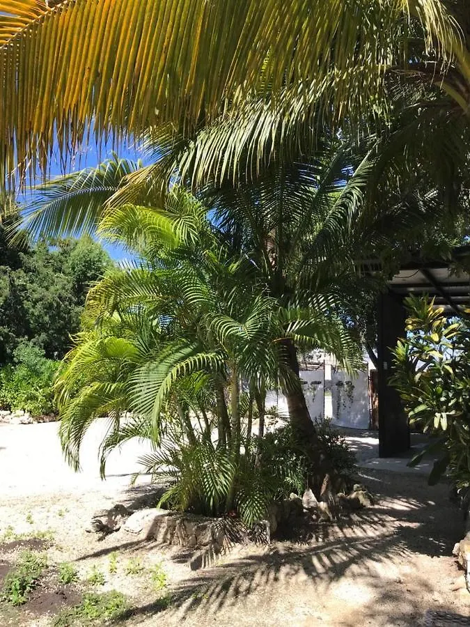 Hotel Veleta Inn Tulum
